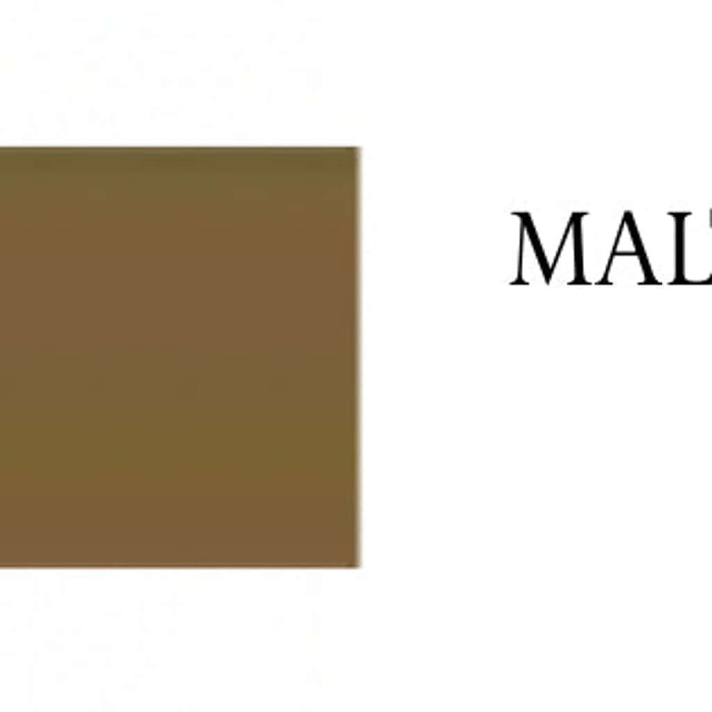 Calcetines media tobillero mujer Golden Lady 8KKK Confort 20 DEN 2 pares Unica Malto