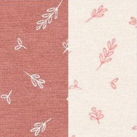 Bragas bikini Avet 353 Coral 1